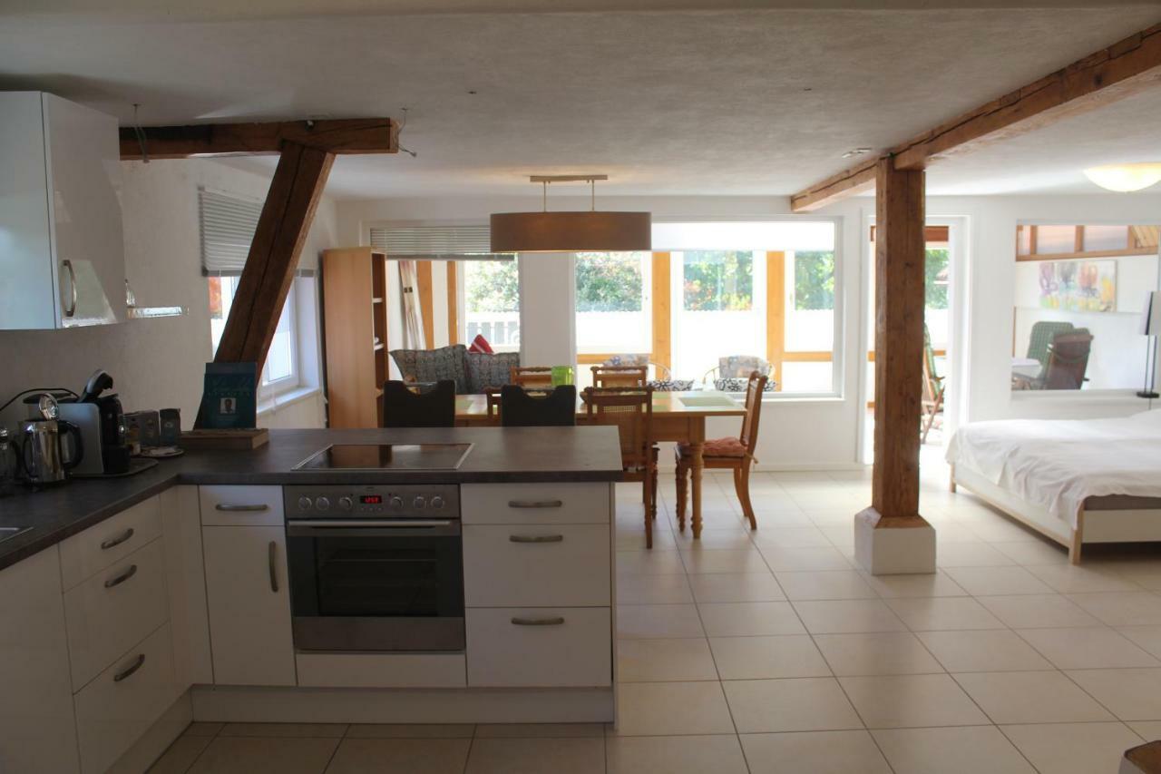 Ferienwohnung-Dorothe Rheinau Ngoại thất bức ảnh