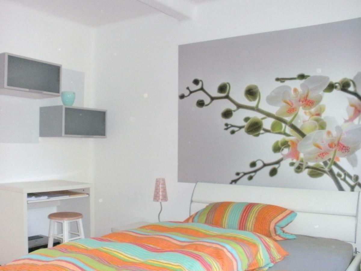 Ferienwohnung-Dorothe Rheinau Ngoại thất bức ảnh