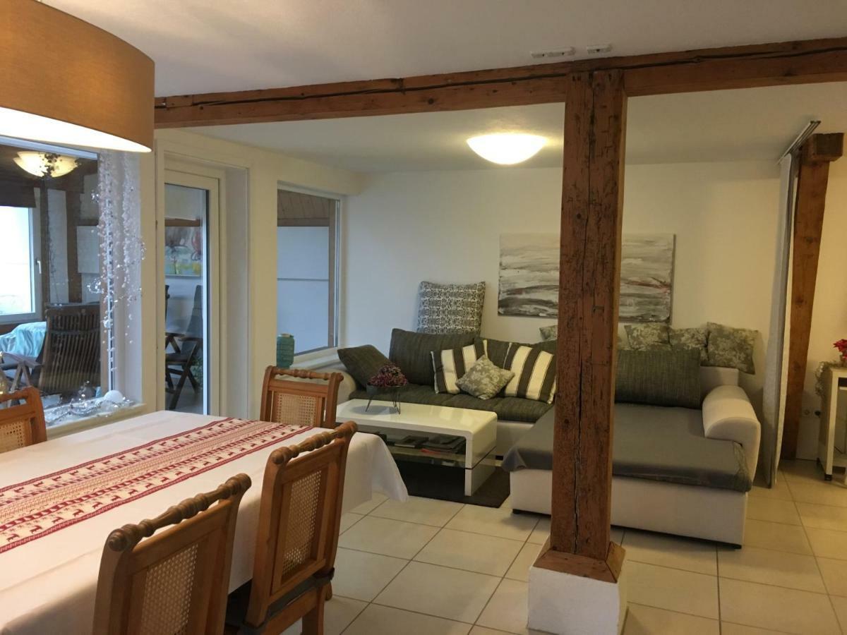 Ferienwohnung-Dorothe Rheinau Ngoại thất bức ảnh